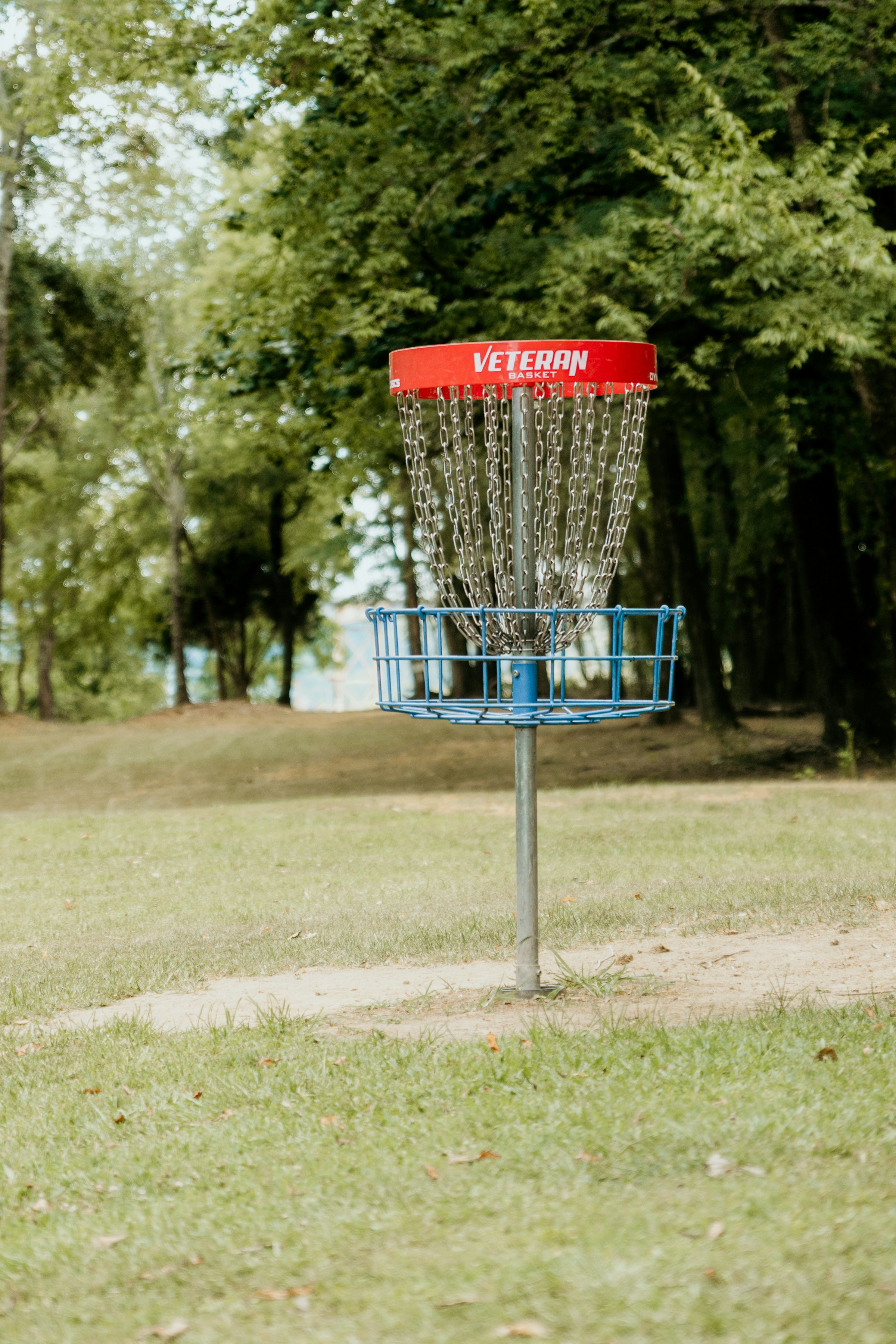 Anfänger Disc Golf Korb im Wald 2025